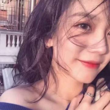 澳门4949资料免费大全app下载