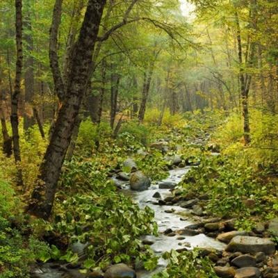 澳门4949资料免费大全app下载