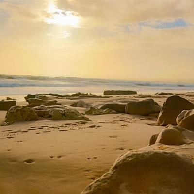 米乐app下载官网截图