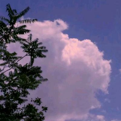 天博官网APP下载